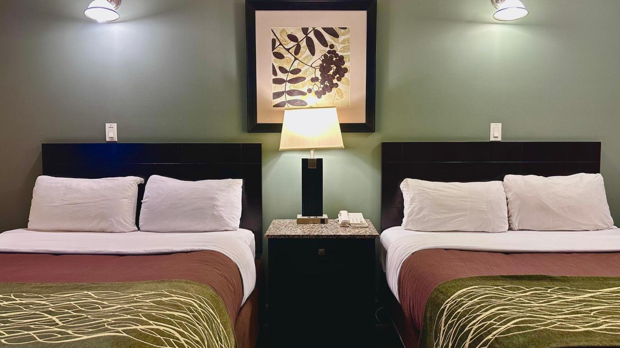 Lacombe Motor Inn Εξωτερικό φωτογραφία